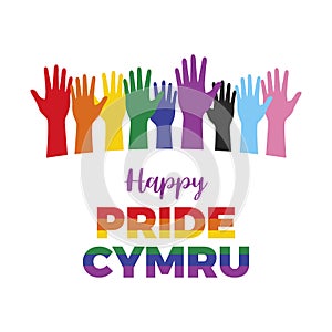 Happy Pride Cymru icon vector