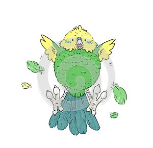 Happy Pudgy Budgerigar / Parakeet Yellow and Green (Clear Background)