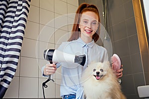 Happy redhaired ginger woman blowing dry the spitz dog hair wiping with a bath towel in the grooming salon