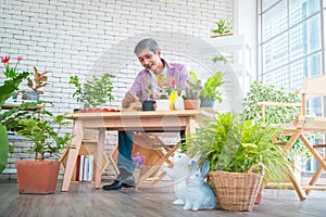 Happy retired man is planting houseplant at home as his hobby for mature leisure activity concept