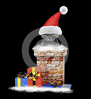 Happy santa cat climbs out of chimney. Isolated on black