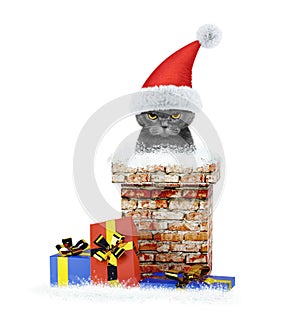 Happy santa cat climbs out of chimney. Isolated on white