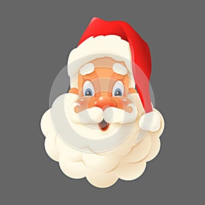 Happy Santa Claus isolated - expression face vector illustration