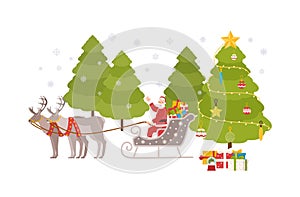 Happy Santa Claus sits in sleigh carried by reindeers and rides through snowy forest at Christmas eve to deliver gifts