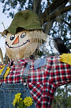 Happy Scarecrow with daisies