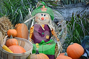 Happy Scarecrow with Pumpkin Display