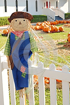 Happy Scarecrow and Pumpkins