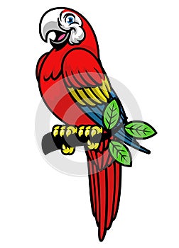 Happy scarlett macaw mascot logo photo