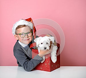 Happy school child in Christmas hat opening Christmas gift box with a puppy inside. Great present for kid to New year