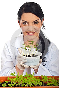 Happy scientist holding new cucumber plants