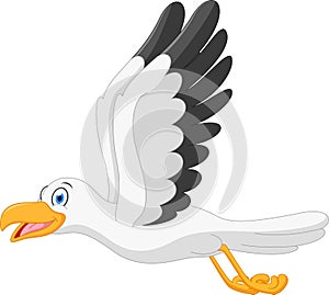 Happy seagull cartoon flying photo