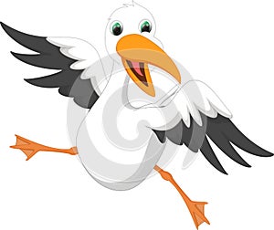 Happy seagull cartoon