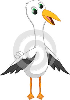 Happy seagull cartoon