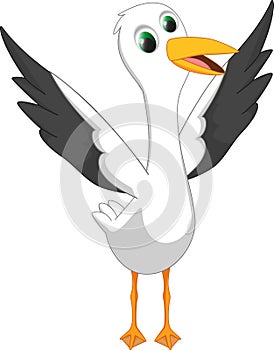 Happy seagull cartoon