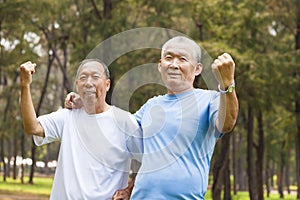Happy senior brothers enjoy retire time in the park