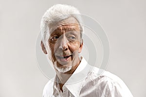 The happy senior business man standing and smiling against gray background.