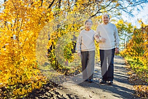 Happy senior citizens in the autumn forest. family, age, season and people concept - happy senior couple walking over