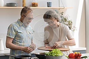 Happy senior couple cooking fresh salad for homemade dinner together