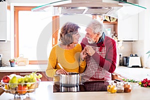 Happy senior couple cooking in the kitchen.