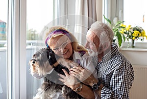 Happy senior couple with dog