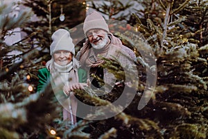 Happy senior couple enjoying christmas market, buying christmas tree.