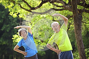 Happy Senior  couple exercising in the nature park