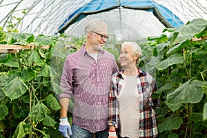 Happy senior couple at farm greenhouse