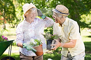 Happy senior couple gardening