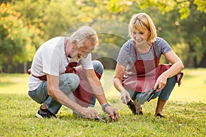 Happy senior couple gardening in the backyard garden together in morning time. old people sitting on grass planting a tree outside