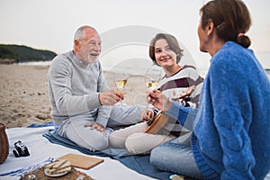 Happy senior couple with granddaughter sitting on blanket and having picnic outdoors on beach by sea.