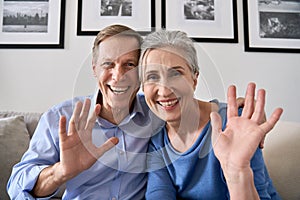 Happy senior couple greeting family making online video call, webcam view.