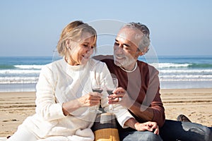 Happy senior couple having picnic at seashore on sunny afternoon