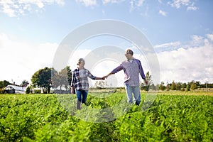 Happy senior couple holding hands at summer farm