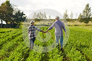 Happy senior couple holding hands at summer farm