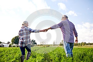 Happy senior couple holding hands at summer farm