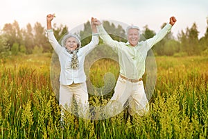 Happy senior couple jumping in summer park