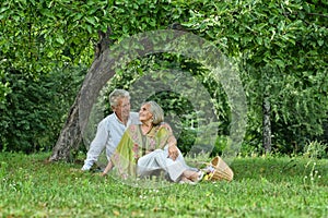 Happy senior couple outdoors