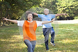 Happy senior couple in the park