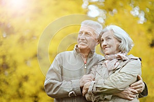 Happy senior couple posing in the park