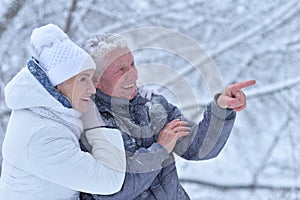 Happy senior couple posing at winter park