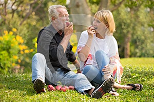 Happy senior couple relaxing in park eating apple together morning time. old people sitting on grass in the autumn park . Elderly