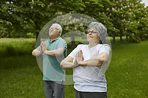Happy senior couple relaxing while practicing yoga exercise in a green summer park