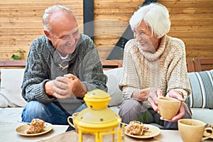 Happy Senior Couple in Retirement