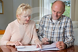 Happy Senior Couple Reviewing Domestic Finances Together photo