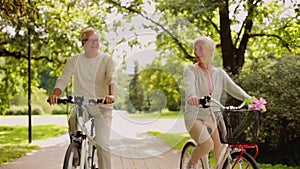 Happy senior couple riding bicycles at summer park