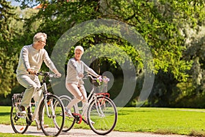 Happy senior couple riding bicycles at summer park