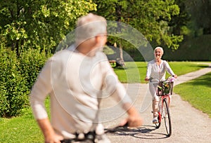 Happy senior couple riding bicycles at summer park