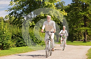 Happy senior couple riding bicycles at summer park