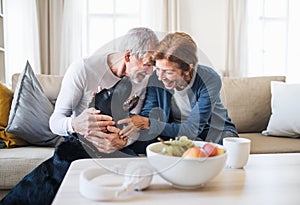 A happy senior couple sitting on a sofa indoors with a pet dog at home.