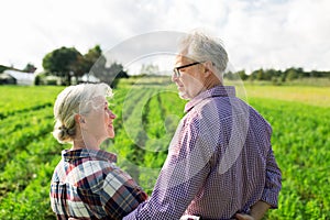 Happy senior couple at summer farm